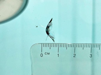 サムネイル 26枚目