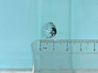 サムネイル 27枚目