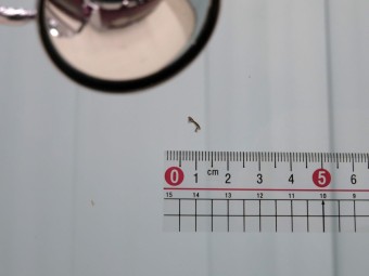 サムネイル 18枚目