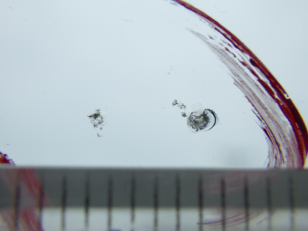 サムネイル 13枚目