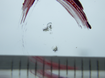 サムネイル 14枚目