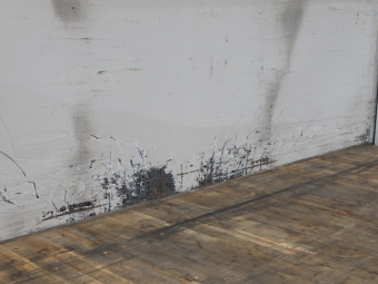 サムネイル 26枚目