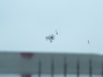 サムネイル 17枚目