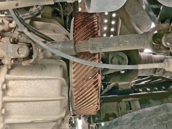 サムネイル 16枚目