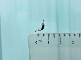 サムネイル 29枚目