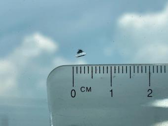 サムネイル 28枚目