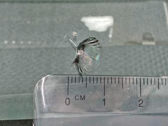 サムネイル 23枚目