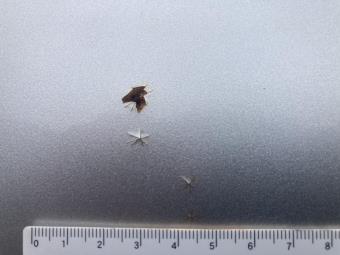 サムネイル 41枚目