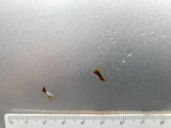 サムネイル 42枚目