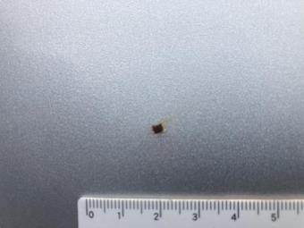 サムネイル 43枚目