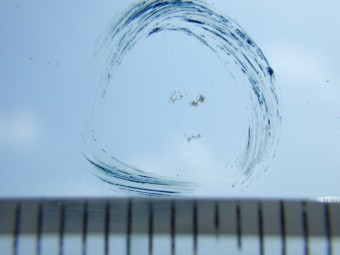 サムネイル 18枚目