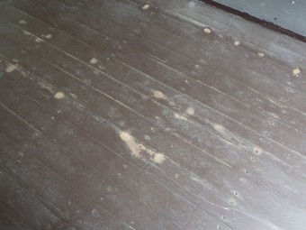 サムネイル 29枚目