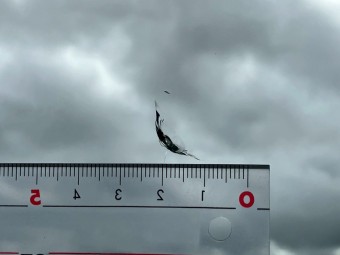 サムネイル 29枚目