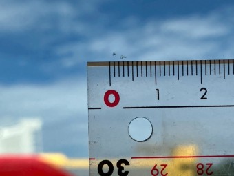 サムネイル 49枚目