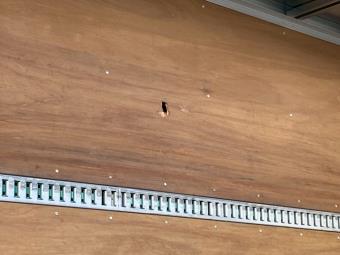 サムネイル 18枚目