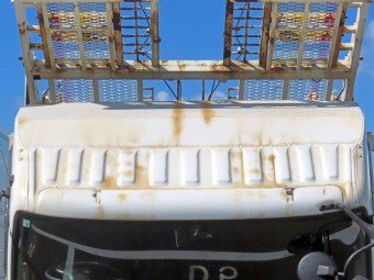 サムネイル 25枚目