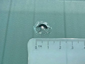 サムネイル 29枚目