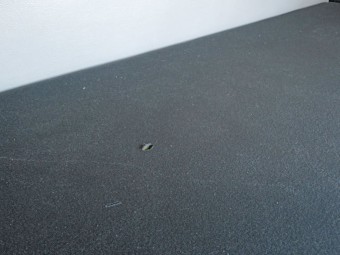 サムネイル 32枚目