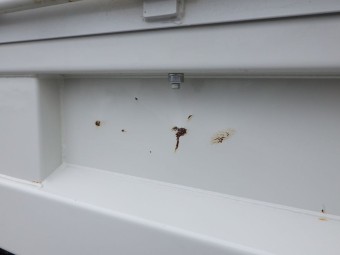 サムネイル 24枚目