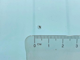 サムネイル 25枚目