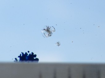 サムネイル 16枚目