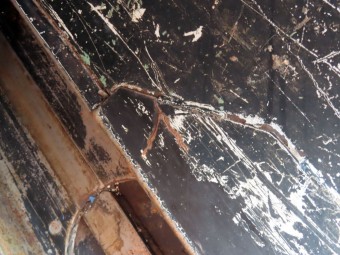 サムネイル 44枚目