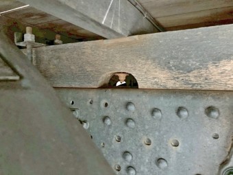 サムネイル 8枚目