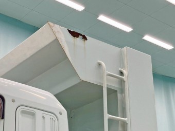 サムネイル 24枚目