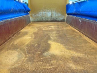 サムネイル 10枚目