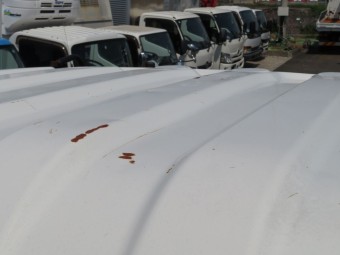 サムネイル 26枚目