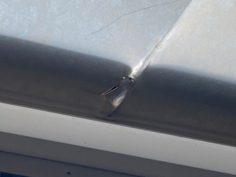 サムネイル 53枚目