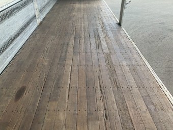 サムネイル 15枚目