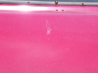 サムネイル 33枚目