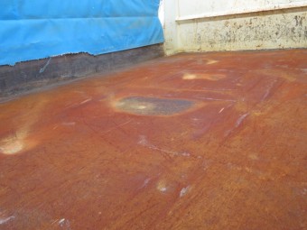 サムネイル 10枚目