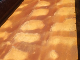 サムネイル 34枚目