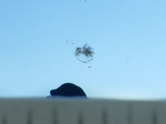 サムネイル 19枚目