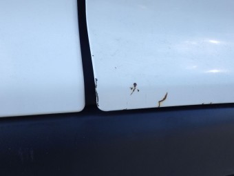 サムネイル 24枚目