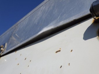 サムネイル 37枚目