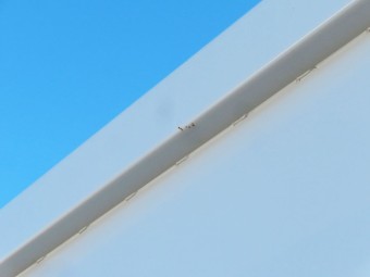 サムネイル 28枚目