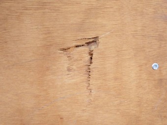 サムネイル 31枚目