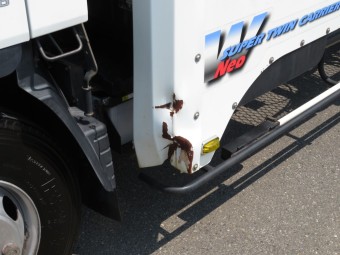 サムネイル 29枚目