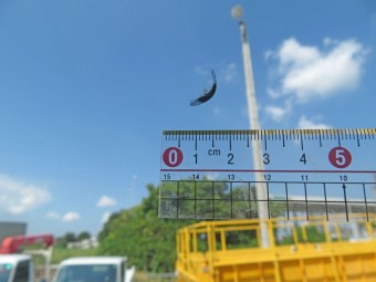 サムネイル 20枚目