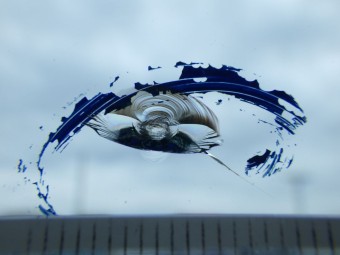 サムネイル 12枚目