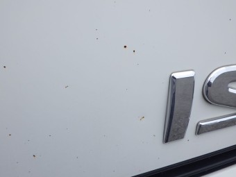 サムネイル 21枚目