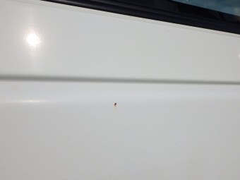 サムネイル 25枚目