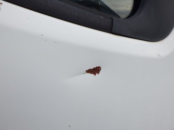 サムネイル 18枚目