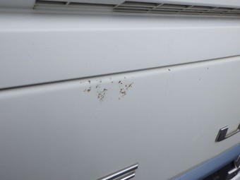 サムネイル 21枚目