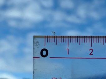 サムネイル 37枚目