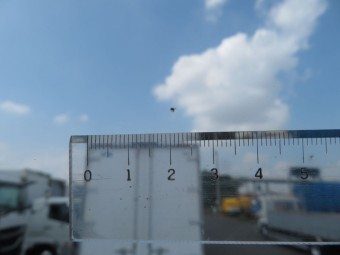 サムネイル 12枚目