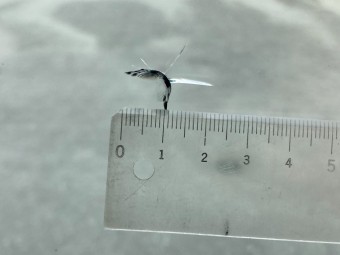 サムネイル 25枚目